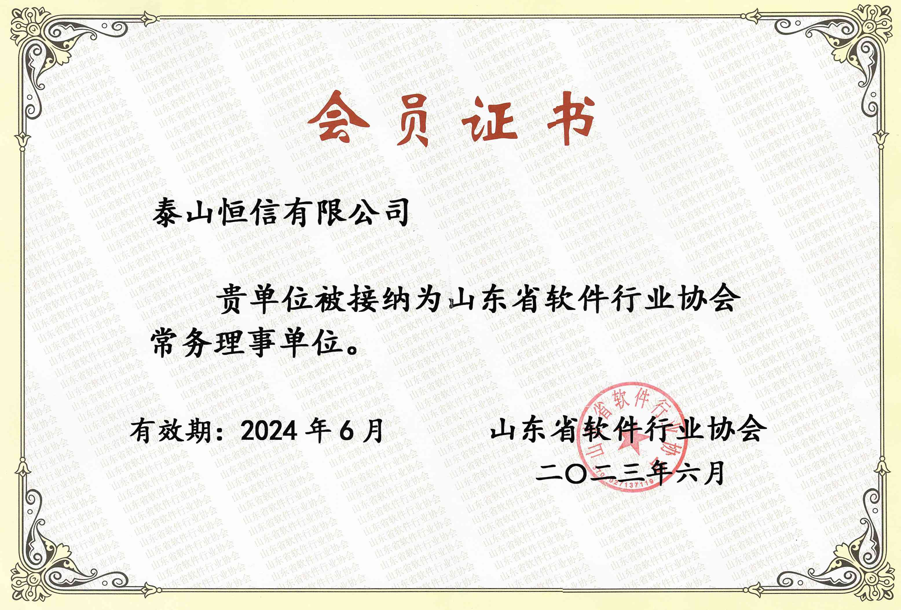 山東省軟件行業(yè)協(xié)會常務理事單位